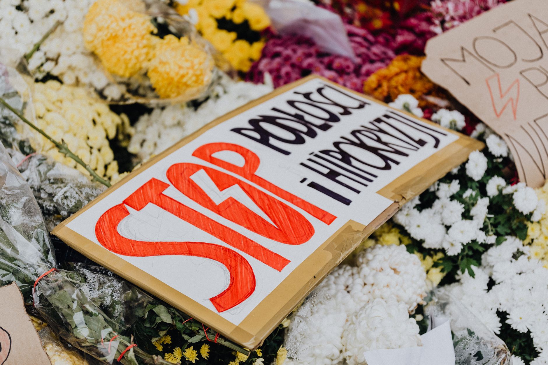 Protest signs amidst flowers in Poland raising social awareness. — obrady Sejmu nad projektami aborcyjnymi