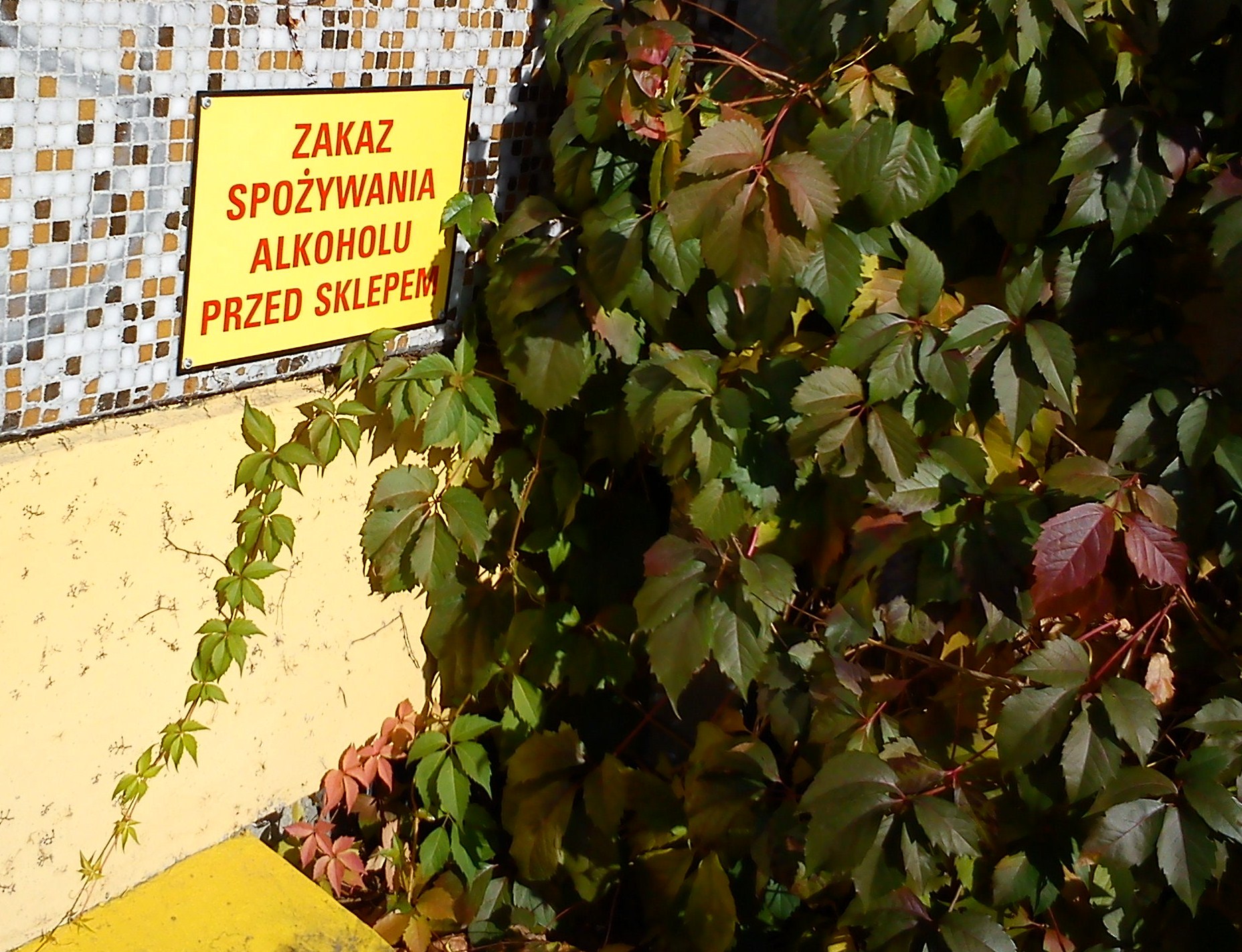 No alcohol outside the shop. Poznań, Batorego District. — spożycie alkoholu w Polsce