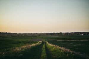 Peaceful rural landscape in Poland with vast green fields at sunset, ideal for nature lovers. — wypadek na polowaniu w Daleszycach