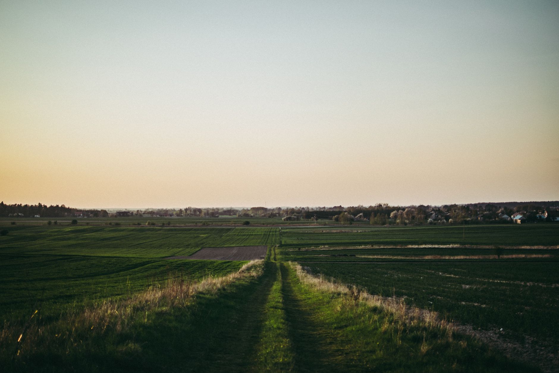Peaceful rural landscape in Poland with vast green fields at sunset, ideal for nature lovers. — wypadek na polowaniu w Daleszycach